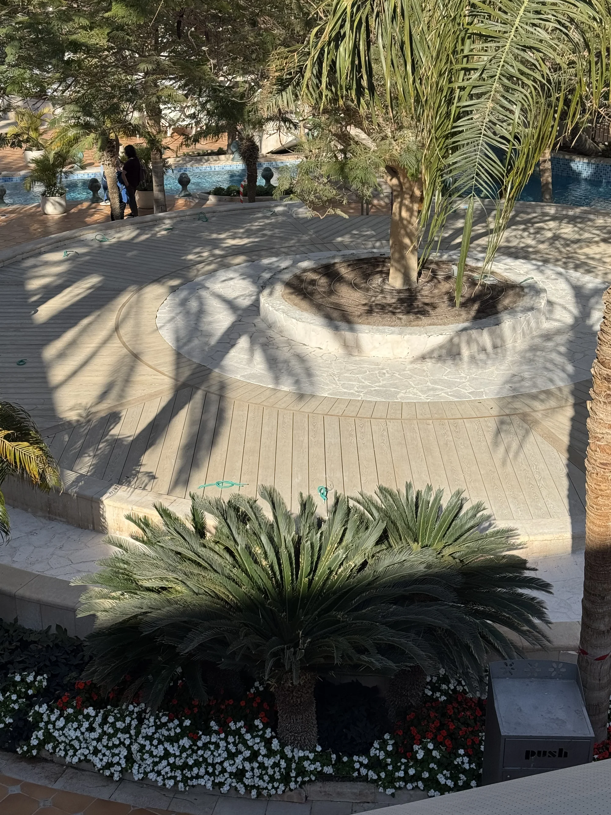 מבט אל רצף הלוחות וקווי ההפרדה מכיוון הבריכה