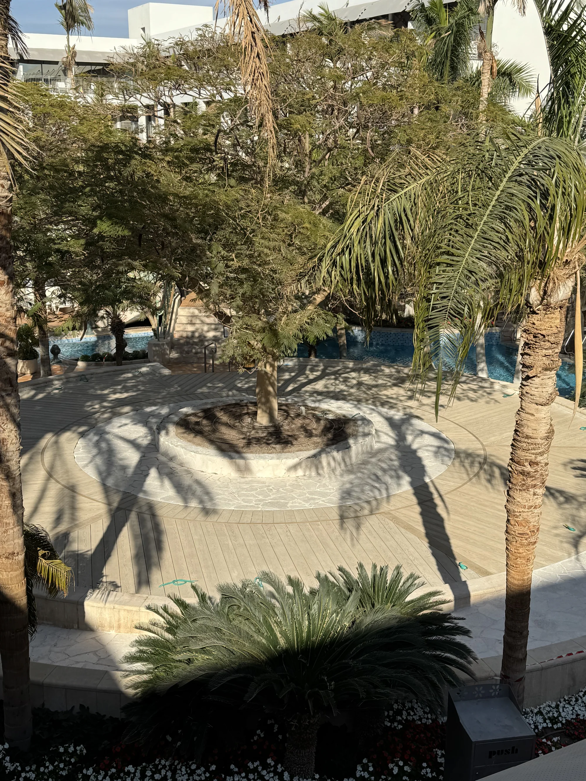 המבנה המעוגל של הדק ביחס לעצים ולבריכה